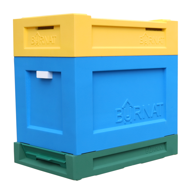 National 6-frame Nuc