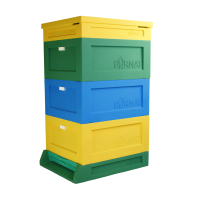 Langstroth Hive